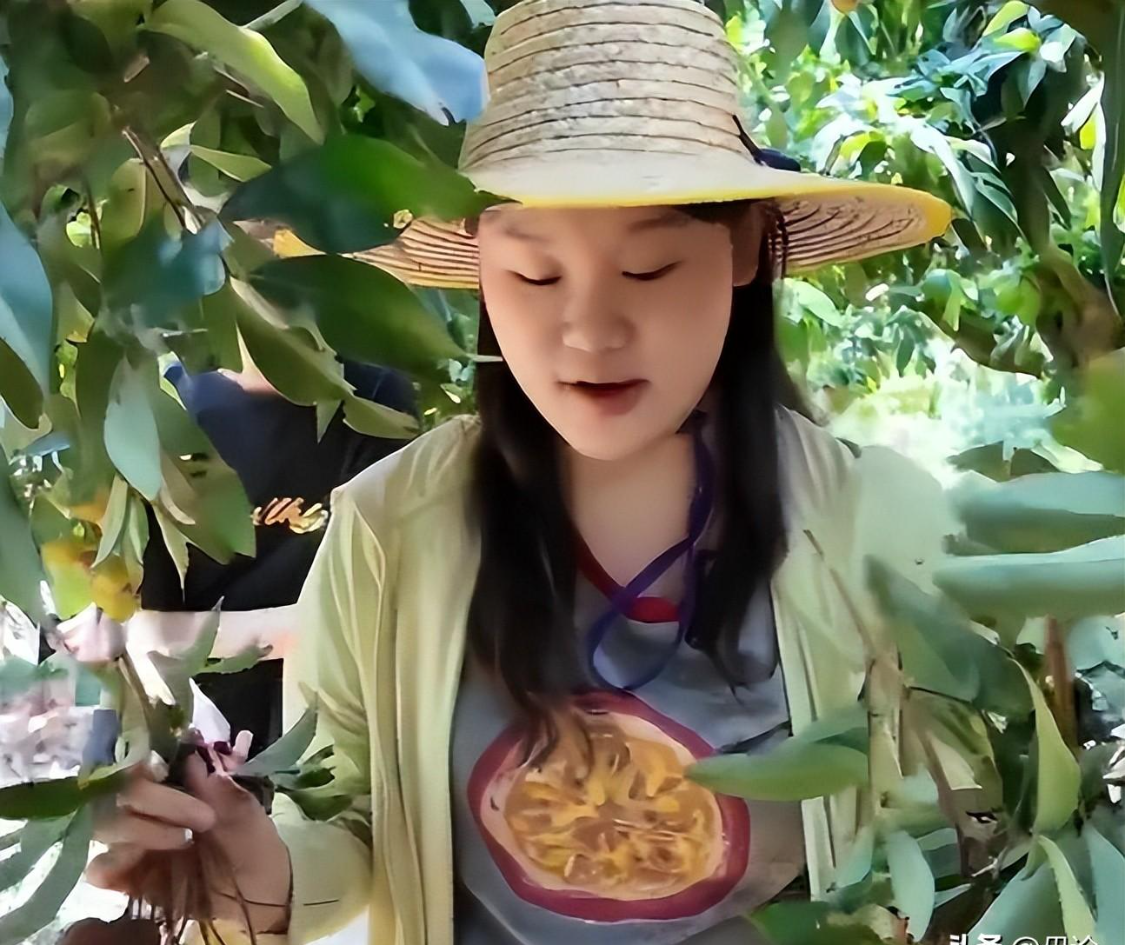 今日欧洲3队晋级！各足联情况：欧足联7队，非洲4队中3队明日出战